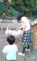 20100621-20100521171814.jpg 20100621-20100521171814.jpg