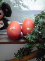 20100715-100709_1239~01.jpg 20100715-100709_1239~01.jpg