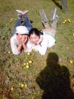 20110511-110505_1506~01.jpg 20110511-110505_1506~01.jpg