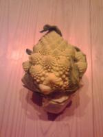 20111231-_________________________________.jpg 20111231-_________________________________.jpg