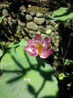 20120412-20120412_160543.jpg 20120412-20120412_160543.jpg