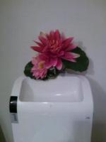 20120505-20120505_213856.jpg 20120505-20120505_213856.jpg