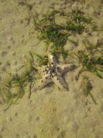 20131031-20131031_230323.jpg 20131031-20131031_230323.jpg