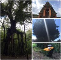 20170305-img_1526.jpg 20170305-img_1526.jpg