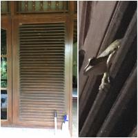 20170408-img_1768.jpg 20170408-img_1768.jpg