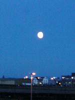 「ゴ−ルデンサークルツアー」出発直前のバスステーションにて。朝9時、まだ月がこうこうと輝いている。