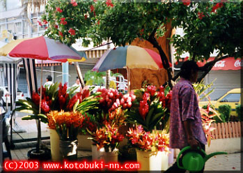 市場の入り口。市場の側にはお花を売ってる人がいっぱい。レイも売ってた
